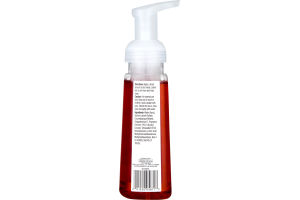 CareOne Foaming Hand Soap Peppermint Candy