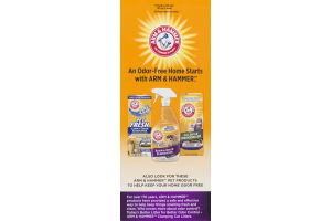Arm & Hammer Double Duty Clumping Litter Value Size