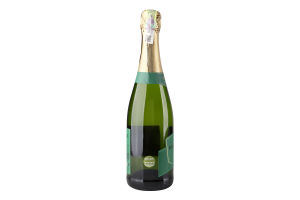 Вино ігристе 0.75л 11% біле напівсухе Cava Monistrol пл