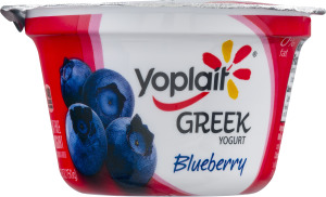 Yoplait Fat Free Greek Yogurt Blueberry