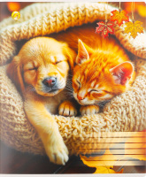 Тетрадь Люкс Тетрада кар/о 96л