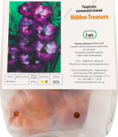 Цибулина Гладіолус Хайден Треже 3шт Яскрава