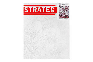 Набір д/розпису по номерах Квіти 40*50см Стратег