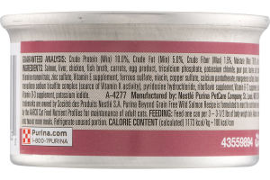 Purina Beyond Natural Cat Food Wild Salmon Recipe Pate