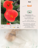 Цибулина Калла Касаї Яскрава