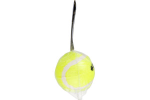Spot Beyond Tough Tennis Dog Toy - 2 CT
