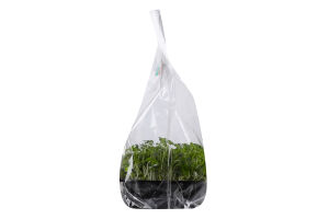 Мікрозелень Green Farm гірчиця