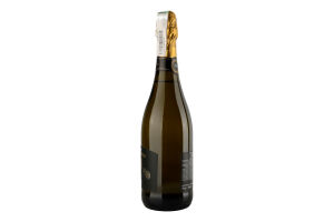 Вино 0.75л 10.2-11.8% белое сухое Brut Cantine San Gaudenzio бут