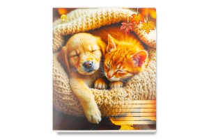 Тетрадь Люкс Тетрада кар/о 96л