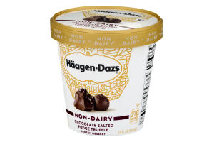Haagen-Dazs Non-Dairy Frozen Dessert Chocolate Salted Fudge Truffle