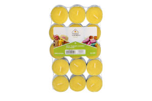 Smart Living Summer Tealight Candles Citronella - 30 CT