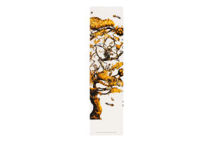 Віскі The Macallan Harmony Vibrant Oak