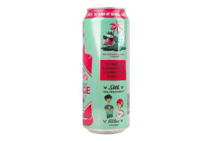 Пиво специальное 480мл 4.4% пастеризованное Taste Pineberry and mint Seth&Riley's Garage ж/б