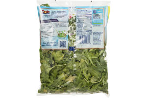 Dole Salad Arugula