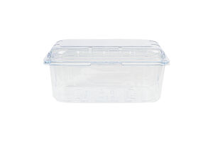 Контейнер с кришкой SET B33 185х114х85 для ягод