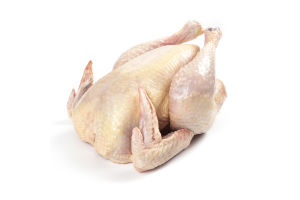 Петух домашний