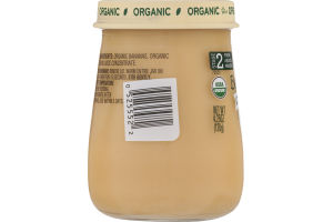 Beech-Nut Organic Stage 2 Bananas