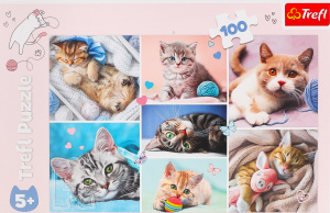 Пазл 100елементів в асортименті Трефль