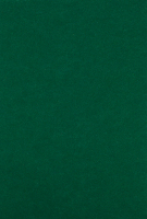 Фетр жорсткий 1мм 20x30см A33-зелен D001-A-R01-C1