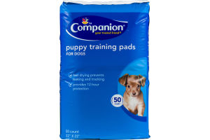Ahold Companion Puppy Training Pads - 50 CT