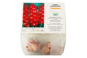 Цибулина Гладіолус Traderhorn 3шт Яскрава