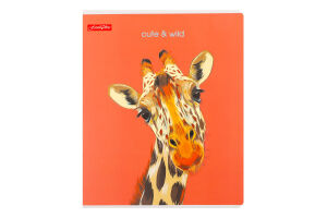 Зошит Фемілі Лайн клітинка подвійна обкладинка покриття мокрий шовк та вибірковий УФ-лак 48аркушів Тетрада