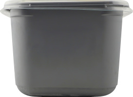 Морозиво сорбет Бразильський лайм Рудь п/у 1.35кг