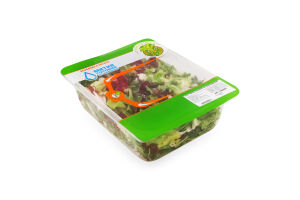 Салат Пучок-Свіжачок мікс з руколою