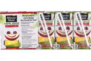 Minute Maid 100% Juice Fruit Punch - 10 CT