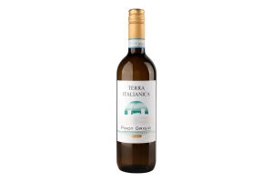 Вино 0.75л 12% белое сухое DOC Пино Гриджио Terra Italianica бут