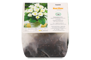 Бульба Глоксінія Мон-Блан Яскрава