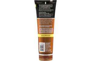John Frieda Brilliant Brunette Visibly Brighter Shampoo
