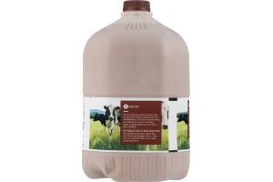 SE Grocers Chocolate Milk 1% Low Fat