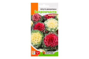 Насіння Капуста декоративна бахромчаста 0,2г Яскрава