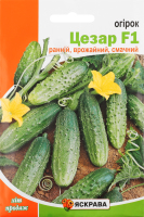 Насіння Огірок Цезар F1 2,5г Яскрава