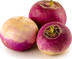 Редис фіолетовий