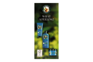 Набiр Argan Oil Шампунь 350мл+Бальзам-ополіскувач 250мл+Маска д/волосся 300мл Herbal Essences