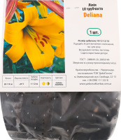 Цибулина Лілія ЛО Деліана трубчаста Яскрава