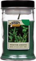 Smart Living Holiday Winter Greens Scented Candle