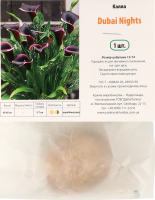 Цибулина Калла Дубай Найт Яскрава