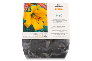 Цибулина Лілія ЛО Деліана трубчаста Яскрава