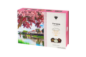 Набір цукерок Ужгород 500г Аметист плюс