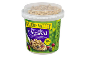 Nature Valley Protein Oatmeal Mixed Berry Crunch