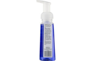 CareOne Foaming Hand Soap Fresh Picked Blueberries