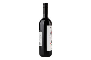 Вино La Bonne Journee Syrah IGP Pays d'Oc чер сухе