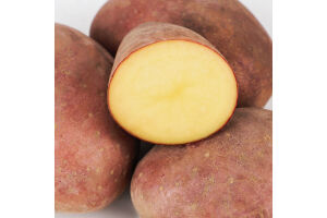 Картопля Алюетт рожева відбірна