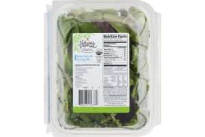 Nature's Promise Organic Baby Kale & Spring Mix