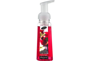 CareOne Antibacterial Foaming Hand Soap Country Apple