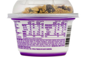 Dannon Light & Fit Greek Crunch Nonfat Yogurt S'mores