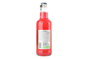 Пиво спеціальне 440мл 4.5% пастеризоване Taste Pineberry and mint Seth&Riley's Garage пл